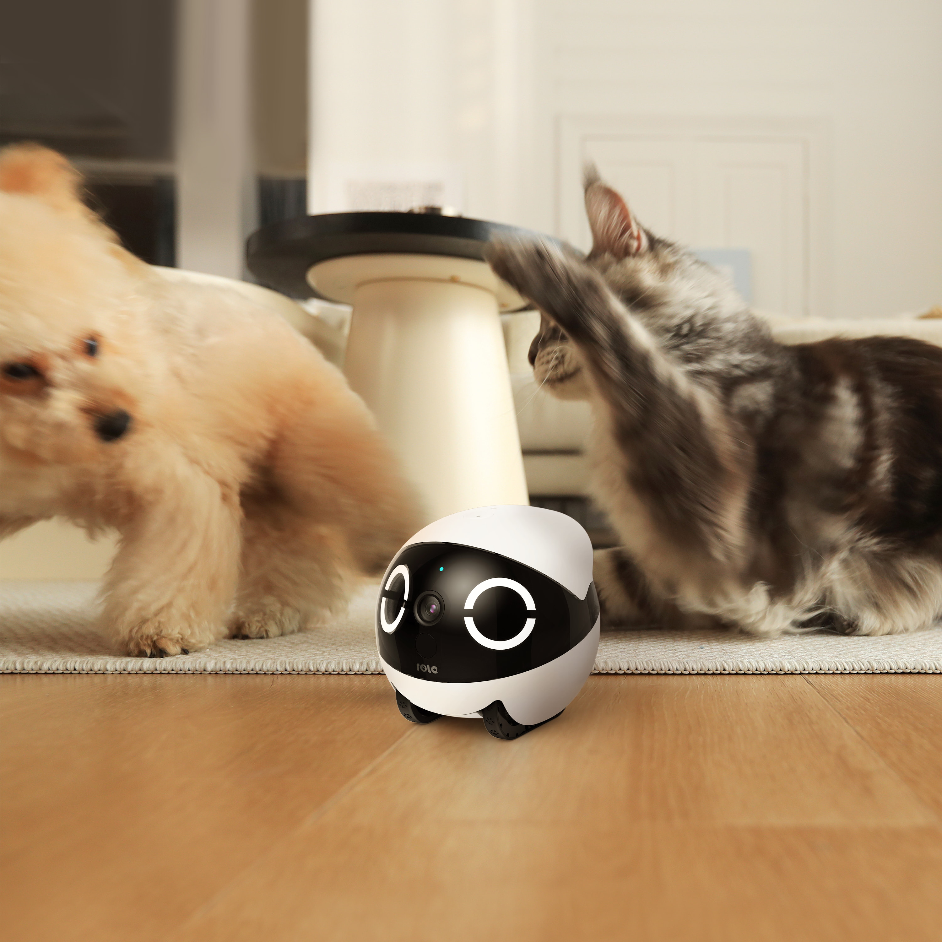 ROLA Mini Significant Other Ro - Home Security Robots recensie en prijs