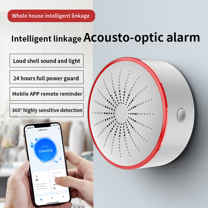 Alexa Google Assistant Voice C - Home Security Blink recensie en prijs