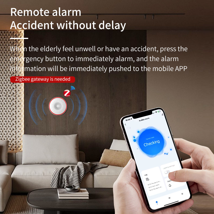 Alexa Google Assistant Voice C - Home Security Blink recensie en prijs
