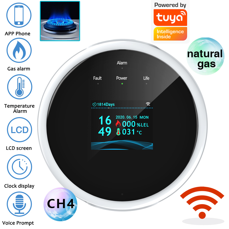 2.4G WiFi Gas Alarm Sensor Com - Home Security Technology recensie en prijs