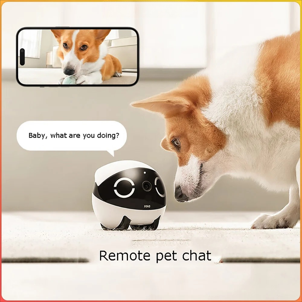 Home Security Pet Tumbler Desi - Home Security Robots recensie en prijs