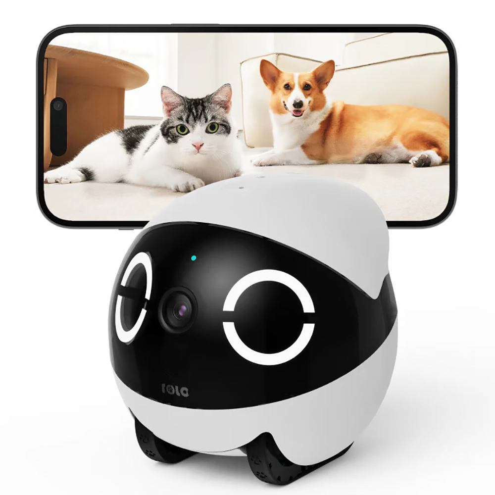 Home Security Pet Tumbler Desi - Home Security Robots recensie en prijs