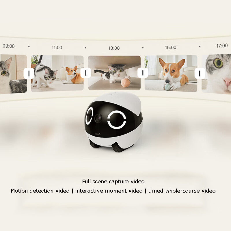 Home Security Pet Tumbler Desi - Home Security Robots recensie en prijs