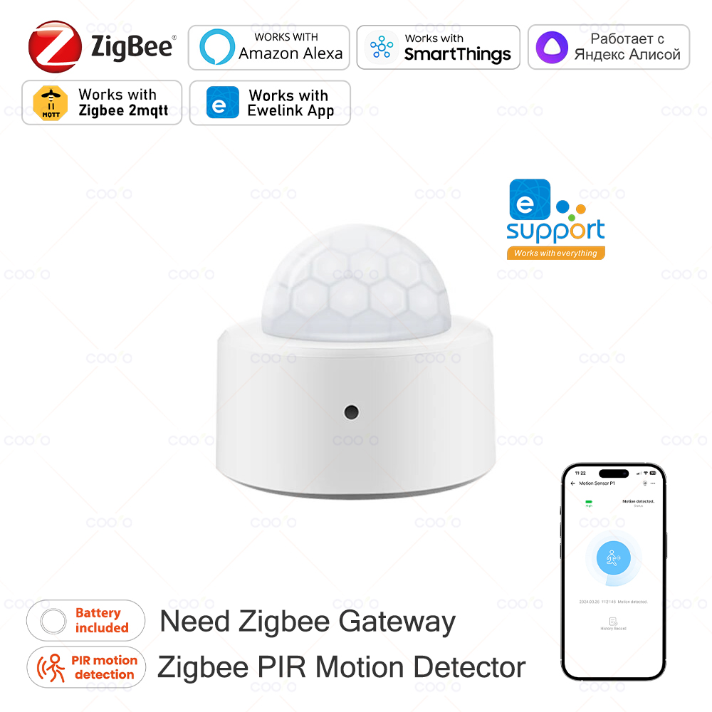 Zigbee Mini PIR Motion Sensor  - Home Security Alarm recensie en prijs
