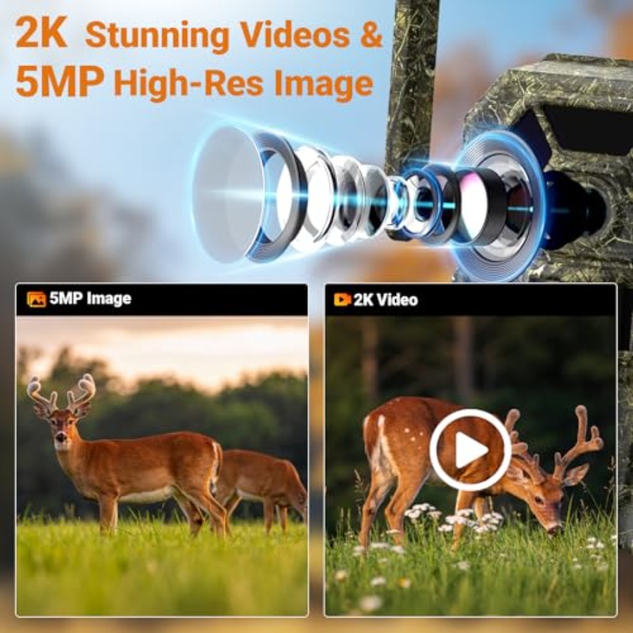 Wildlife monitoring and home s - Home Security Video Cameras recensie en prijs
